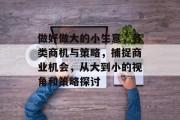 做好做大的小生意，各类商机与策略，捕捉商业机会，从大到小的视角和策略探讨