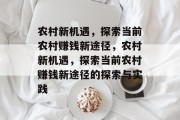 农村新机遇，探索当前农村赚钱新途径，农村新机遇，探索当前农村赚钱新途径的探索与实践
