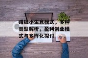 赚钱小生意模式，多种类型解析，盈利创业模式与多样化探讨