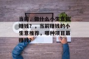 当前，做什么小生意能赚钱？，当前赚钱的小生意推荐，哪种项目最赚钱？