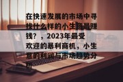 在快速发展的市场中寻找什么样的小生意最赚钱？，2023年最受欢迎的暴利商机，小生意的利润与市场趋势分析