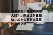 新加坡的小生意如何赚大钱？，新加坡创业秘诀，从小生意到大生意的盈利之路