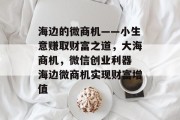 海边的微商机——小生意赚取财富之道，大海商机，微信创业利器 海边微商机实现财富增值