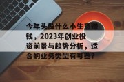 今年头做什么小生意赚钱，2023年创业投资前景与趋势分析，适合的业务类型有哪些？