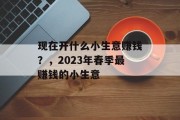 现在开什么小生意赚钱？，2023年春季最赚钱的小生意