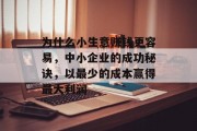 为什么小生意赚钱更容易，中小企业的成功秘诀，以最少的成本赢得最大利润