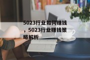 5023行业如何赚钱，5023行业赚钱策略解析