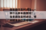 探索最佳盈利途径——做什么脚本最赚钱？，探索最佳盈利途径，哪种脚本创作最赚钱？