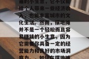 摆地摊的是一种非常普遍的小生意，它不仅能给个人带来一些经济收入，也能丰富城市的文化生活。然而，摆地摊并不是一个轻松而且容易赚钱的小生意，因为它需要你具备一定的经营能力和良好的市场洞察力。，如何在摆地摊中盈利和成功