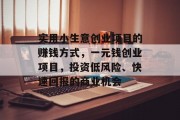 实用小生意创业项目的赚钱方式，一元钱创业项目，投资低风险、快速回报的商业机会