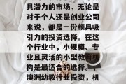 澳洲幼教行业是一个极具潜力的市场，无论是对于个人还是创业公司来说，都是一份颇具吸引力的投资选择。在这个行业中，小规模、专业且灵活的小型教育机构是最适合的选择。，澳洲幼教行业投资，机遇与挑战