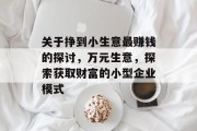 关于挣到小生意最赚钱的探讨，万元生意，探索获取财富的小型企业模式