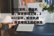 2022深圳，抓住机遇，探索赚钱之道，2022深圳，抓住机遇，探索赚钱之道的新路径