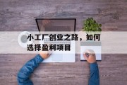 小工厂创业之路，如何选择盈利项目