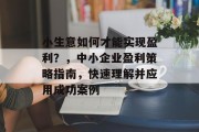 小生意如何才能实现盈利？，中小企业盈利策略指南，快速理解并应用成功案例