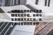 山西省忻州市的小生意赚钱方式介绍，忻州小生意赚钱方式汇总，从个体经营到团队合作