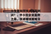 小生意如何快速赚取利润？，中小型企业盈利之路，快速赚钱策略分享