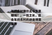 年终农村做什么小生意赚钱？，一技之长，适合年终农村的创业项目推荐