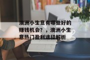 澳洲小生意有哪些好的赚钱机会？，澳洲小生意热门盈利途径解析