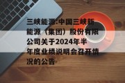 三峡能源:中国三峡新能源（集团）股份有限公司关于2024年半年度业绩说明会召开情况的公告