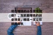 现在赚钱的小生意有哪些？，当前最赚钱的创业项目，精选一文让你把握商机