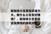 新加坡小生意投资潜力大，做什么小生意好赚钱？，新加坡小生意投资及赚钱的商机分享