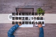 低成本赚钱的最新小生意理财之道，5个投资盈利快速赚钱的小项目