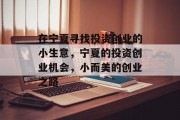 在宁夏寻找投资创业的小生意，宁夏的投资创业机会，小而美的创业之路