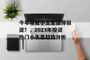 今年哪些小生意值得投资?,2023年投资热门小生意趋势分析 今年哪些小生意值得投资?,2023年投资热门小生意趋势分析