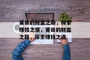 莆田的财富之路，探索赚钱之道，莆田的财富之路，探索赚钱之道