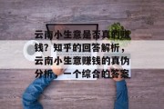 云南小生意是否真的赚钱？知乎的回答解析，云南小生意赚钱的真伪分析，一个综合的答案