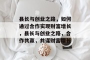 县长与创业之路，如何通过合作实现财富增长，县长与创业之路，合作共赢，共谋财富增长