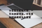 小生意也能赚大钱，一万元创业项目，小生意如何逆袭成为大赢家