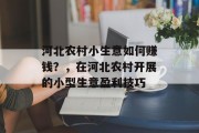 河北农村小生意如何赚钱？，在河北农村开展的小型生意盈利技巧