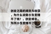 创业之路的艰辛与收获，为什么说做小生意赚不了钱？，创业艰辛，为何小生意赚不了钱?