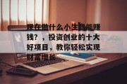 现在做什么小生意能赚钱？，投资创业的十大好项目，教你轻松实现财富增长