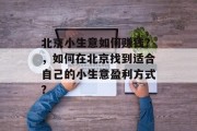 北京小生意如何赚钱？，如何在北京找到适合自己的小生意盈利方式?