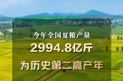 历史第二高产年 今年全国夏粮产量2994.8亿斤