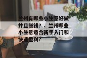 兰州有哪些小生意好做并且赚钱？，兰州哪些小生意适合新手入门和快速盈利?