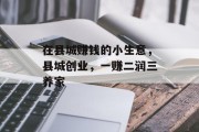 在县城赚钱的小生意，县城创业，一赚二润三养家