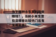 当下哪种小生意好做些赚钱？，当前小本生意投资哪些比较热门且有发展前景?