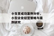 小生意成功案例分析，小型企业经营策略与案例研究