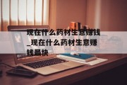 现在什么药材生意赚钱_现在什么药材生意赚钱最快