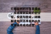 打造盈利的小生意项目，从选择到实施的全过程，投资与收益，详细解读如何选择盈利小生意项目并成功运营