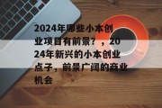 2024年哪些小本创业项目有前景？，2024年新兴的小本创业点子，前景广阔的商业机会