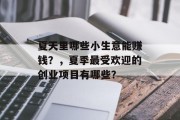 夏天里哪些小生意能赚钱？，夏季最受欢迎的创业项目有哪些？