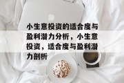 小生意投资的适合度与盈利潜力分析，小生意投资，适合度与盈利潜力剖析