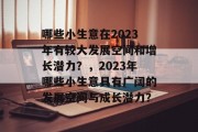 哪些小生意在2023年有较大发展空间和增长潜力？，2023年哪些小生意具有广阔的发展空间与成长潜力？