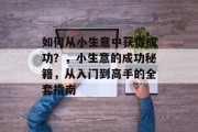 如何从小生意中获得成功？，小生意的成功秘籍，从入门到高手的全套指南