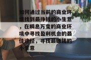 如何通过当前的商业环境找到最挣钱的小生意，在瞬息万变的商业环境中寻找盈利机会的最佳途径，寻找最赚钱的小生意